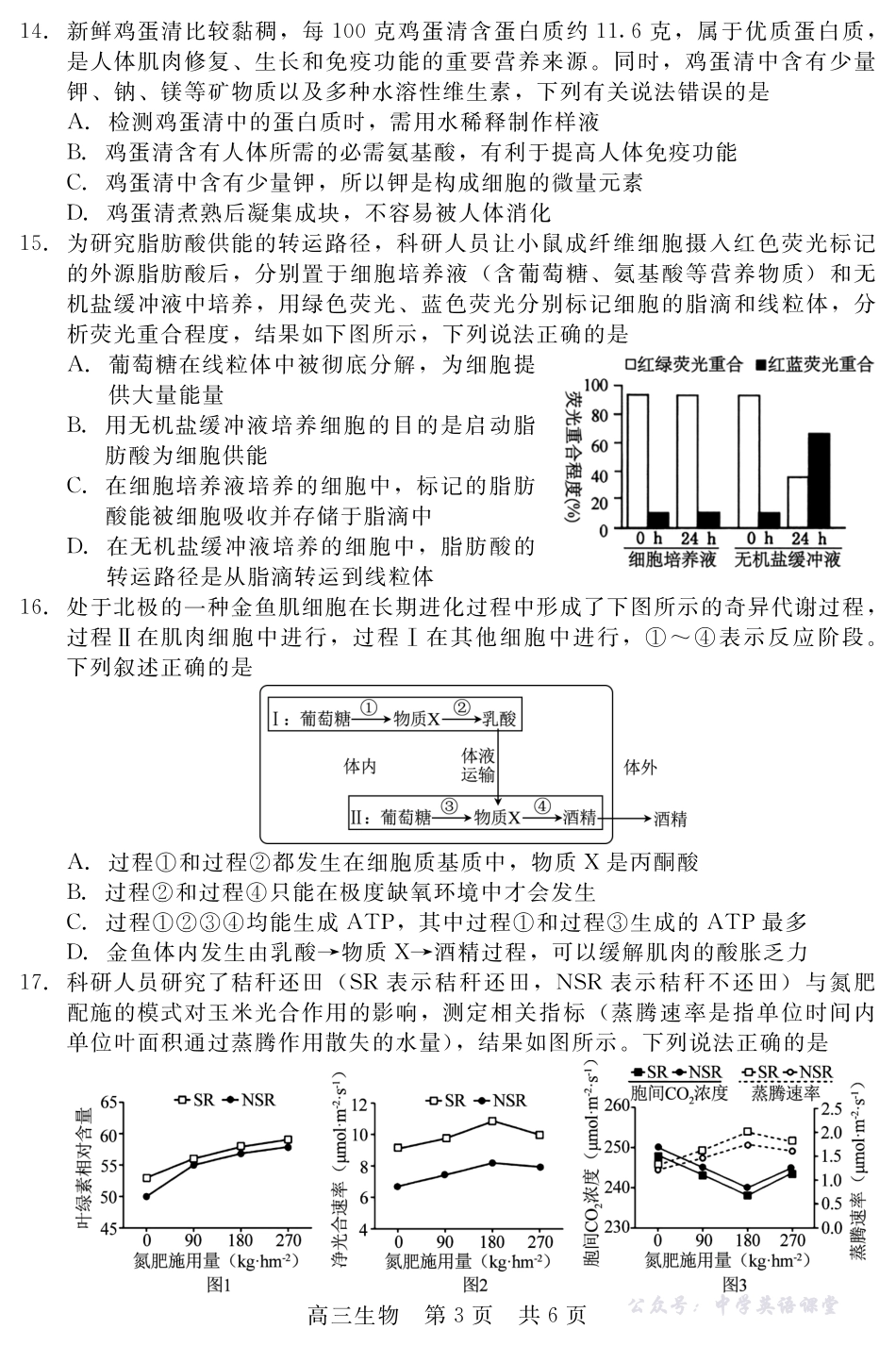 河北省NT20第一学期高三年级10月联考生物.pdf_第3页
