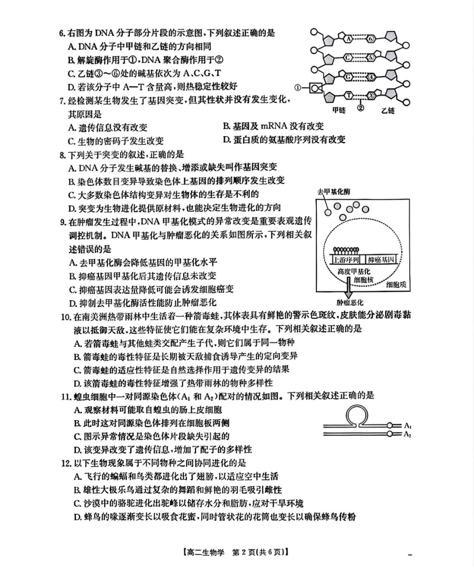 河北省部分学校2025-2026学年高二上学期开学考生物试题(含答案).pdf_第2页