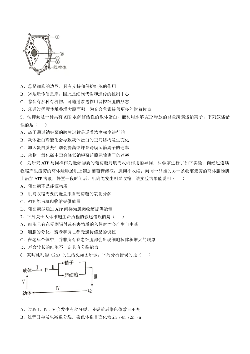 河北省承德市2024-2025学年高三上学期期中考试(11.25-11.26)生物试卷+答案.docx_第2页
