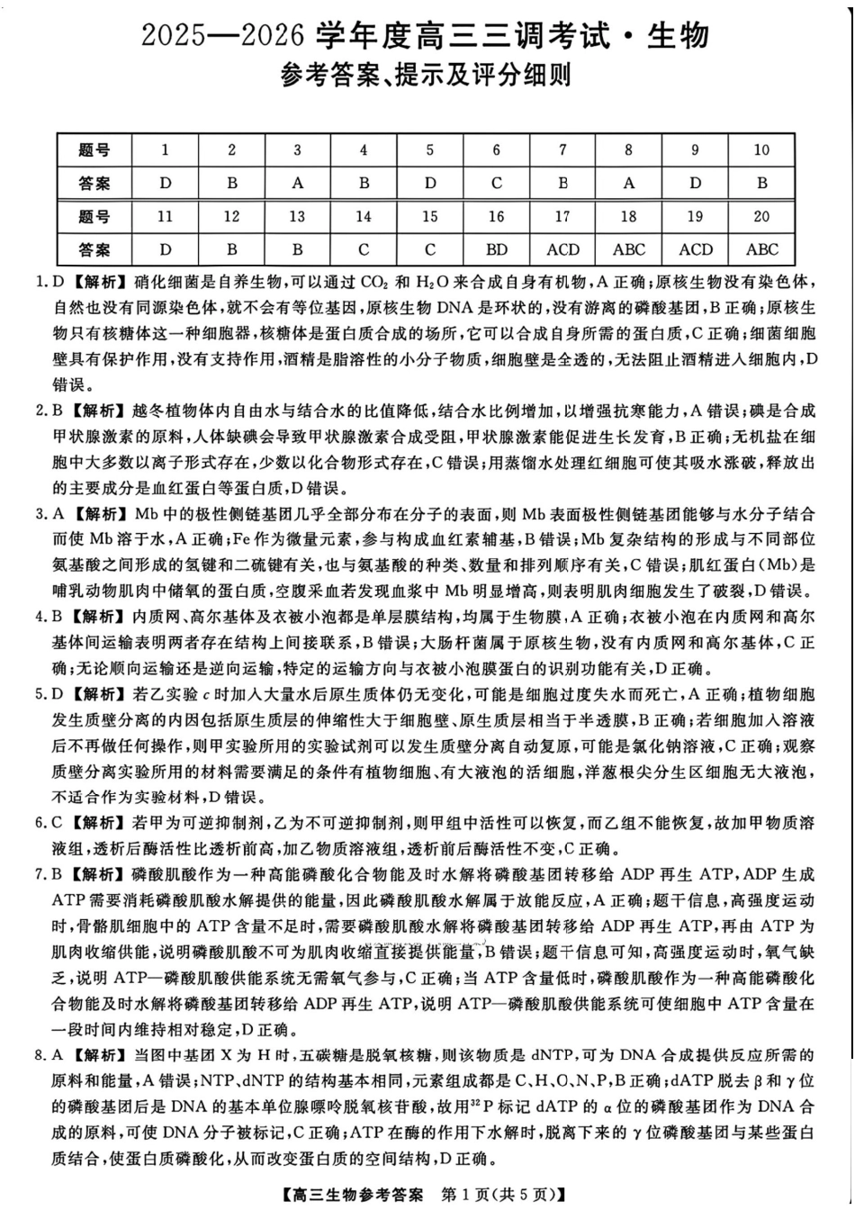 河北省衡水市2025-2026学年高三上学期第三次调研考试（26008C）生物答案.pdf_第1页