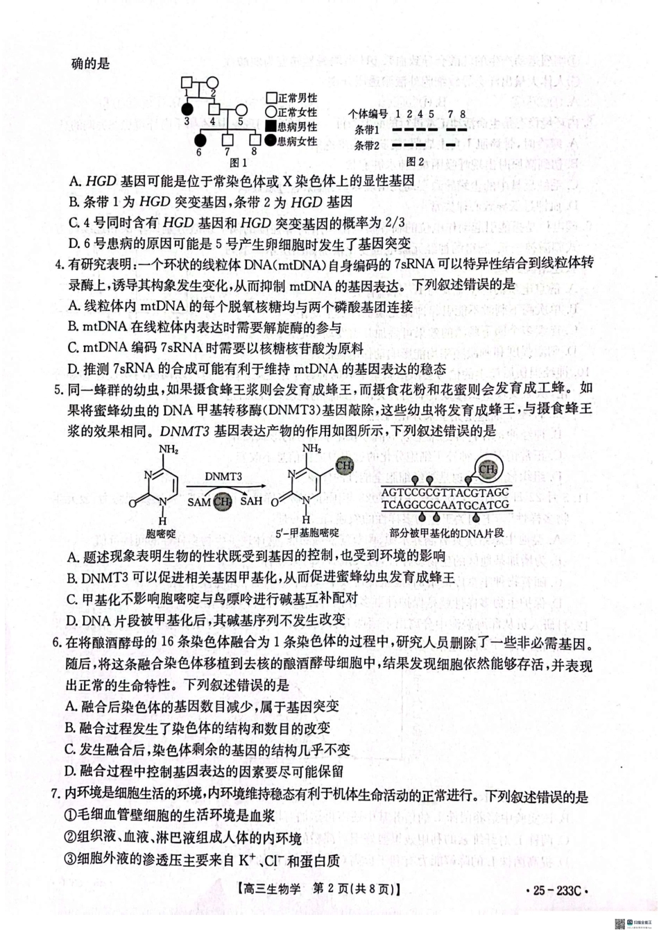 河北省金太阳质检联盟2024-2025学年高三上学期12月第三次联考(12.18-12.19)生物试卷.pdf_第2页