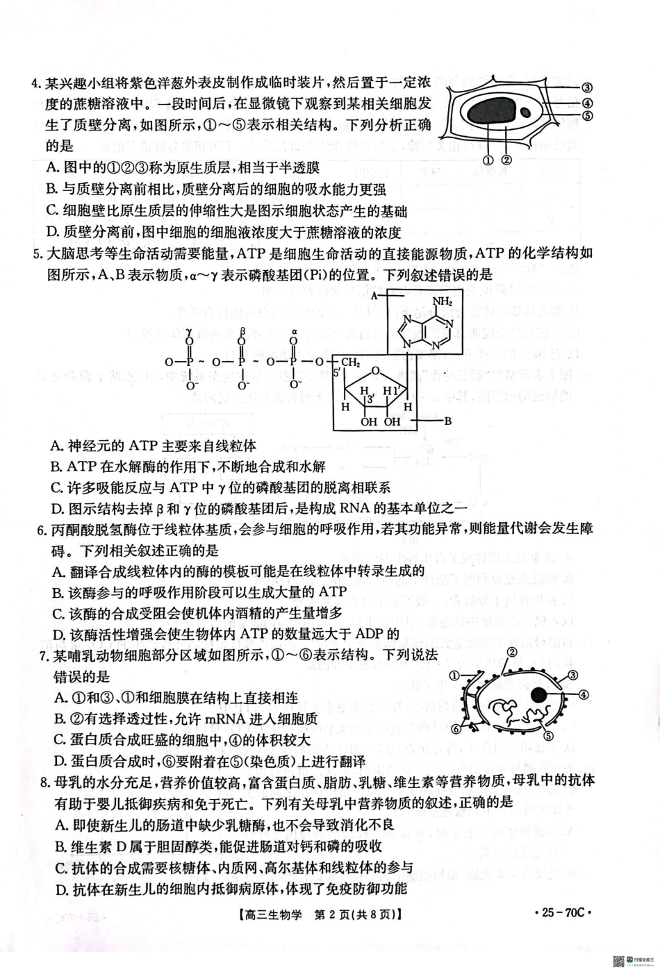 河北省邢台市质检联盟2024-2025学年高三上学期10月月考试题生物含答案.pdf_第2页