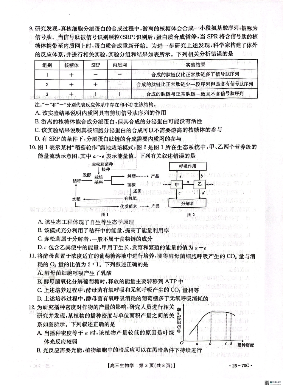 河北省邢台市质检联盟2024-2025学年高三上学期10月月考试题生物含答案.pdf_第3页
