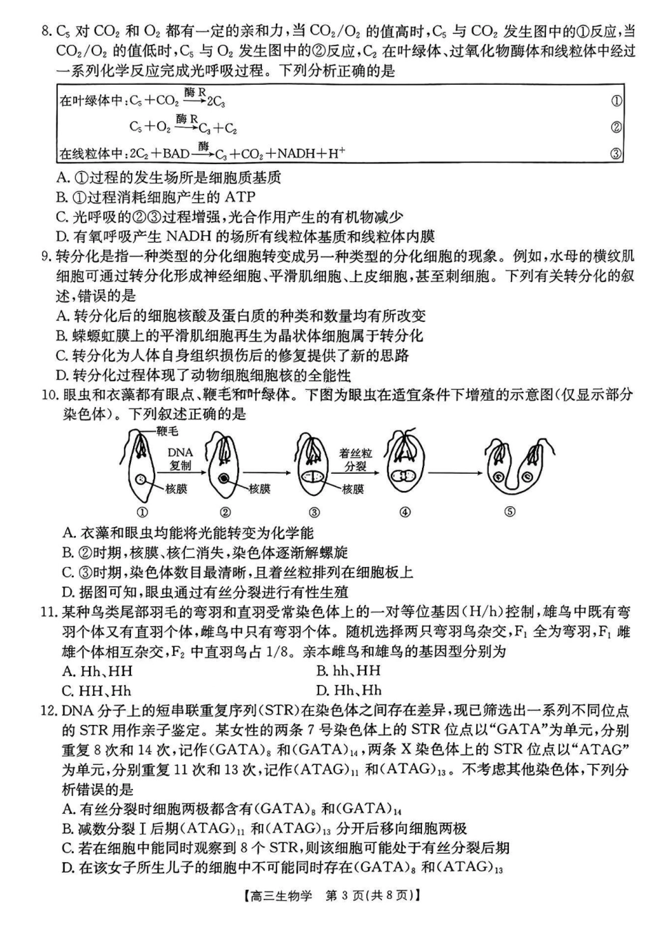 河南省2024-2025年金太阳高三年级联考（三）暨10月月考（10.28-10.29）生物试卷+答案.pdf_第3页
