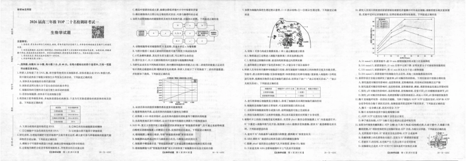 河南省2026届高三年级TOP二十名校调研考试一（26-X-025C）生物.pdf_第1页