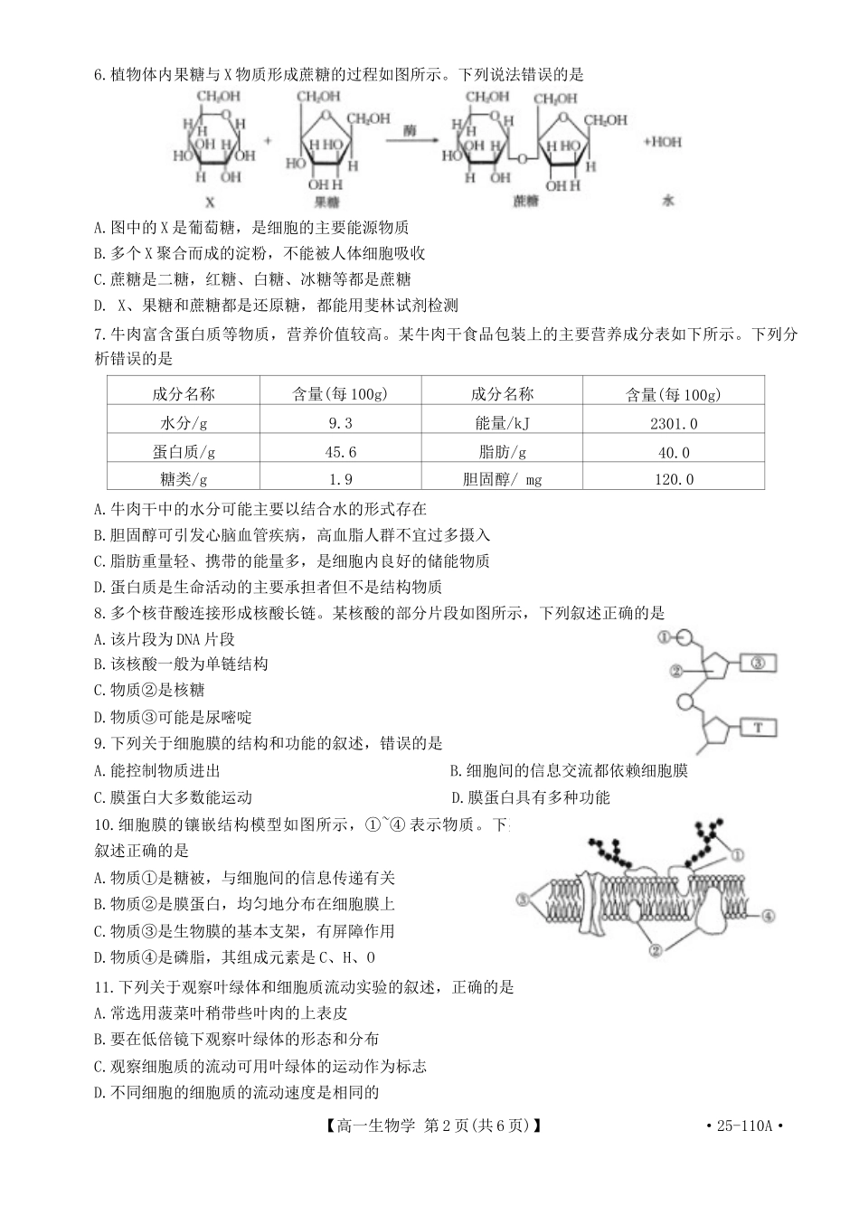 河南省部分学校2024-2025学年高一上学期选科考试生物含解析.docx_第2页