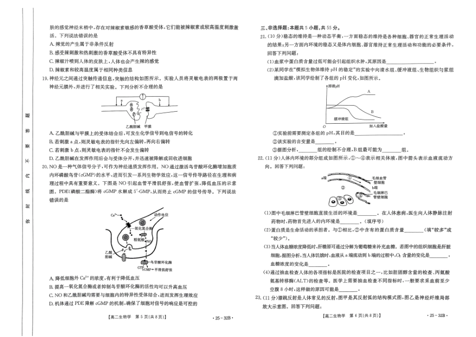 河南省创新发展联盟2024-2025学年高二上学期第一次联考生物32B.pdf_第3页