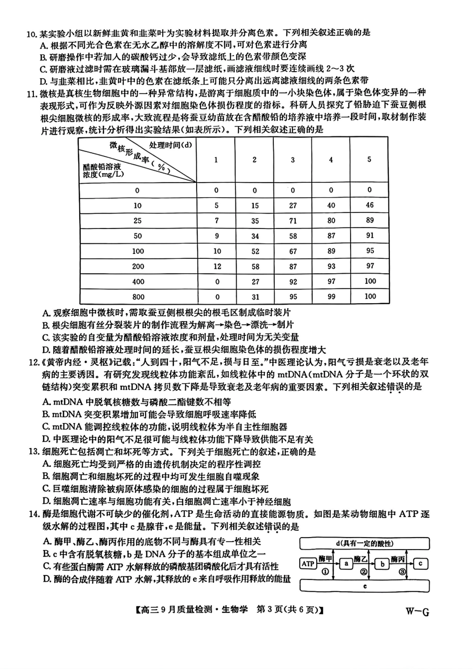 河南省九师联盟2025届高三9月质量检测巩固卷(10.8-10.9)生物试卷.pdf_第3页