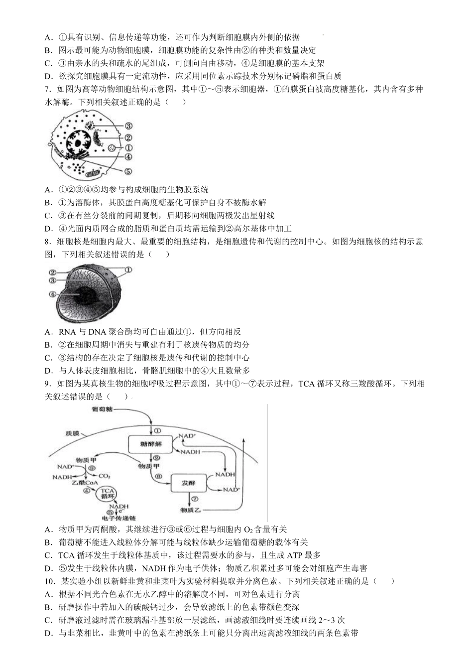 河南省九师联盟2025届高三9月质量检测巩固卷（S-G）（10.8-10.9）生物试卷.pdf_第2页