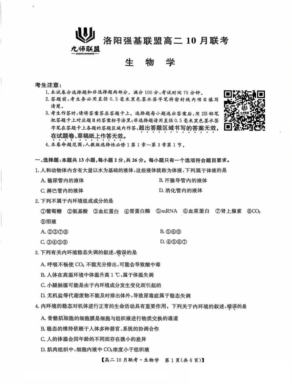 河南省洛阳强基联盟2024-2025学年高二上学期10月联考试题生物含解析.pdf_第1页