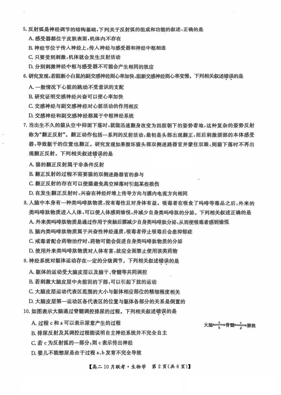 河南省洛阳强基联盟2024-2025学年高二上学期10月联考试题生物含解析.pdf_第2页