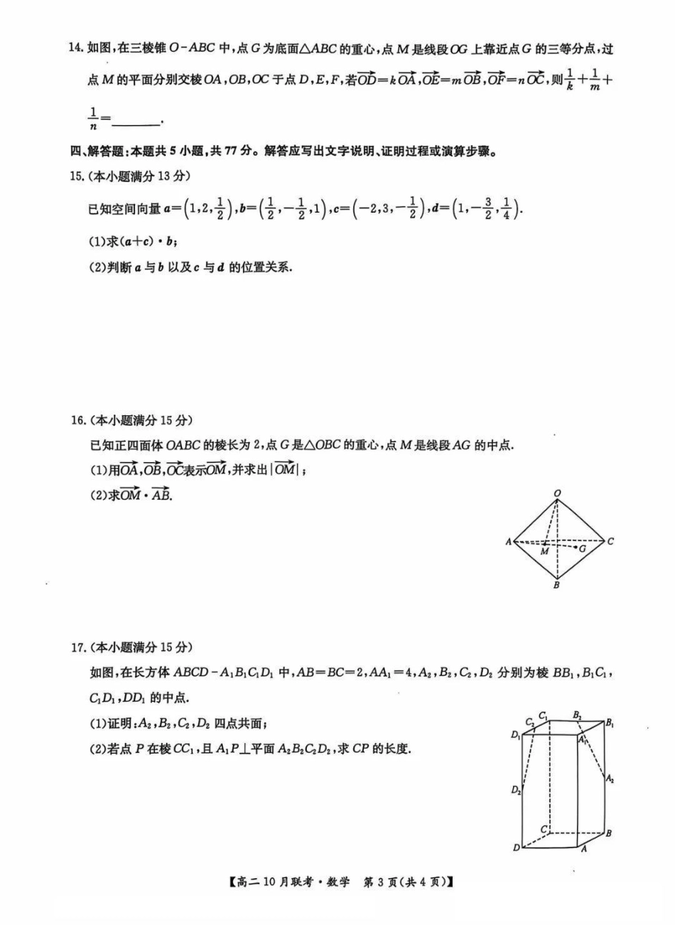 河南省洛阳强基联盟2024-2025学年高二上学期10月联考试题数学含解析.pdf_第3页