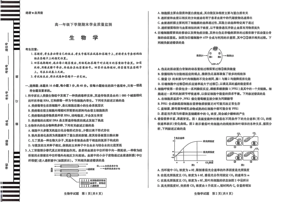 河南省濮阳市2024-2025学年高一下学期7月期末考试生物含答案.pdf_第1页