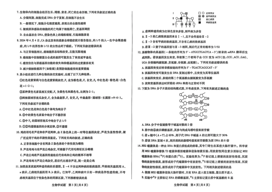 河南省濮阳市2024-2025学年高一下学期7月期末考试生物含答案.pdf_第2页