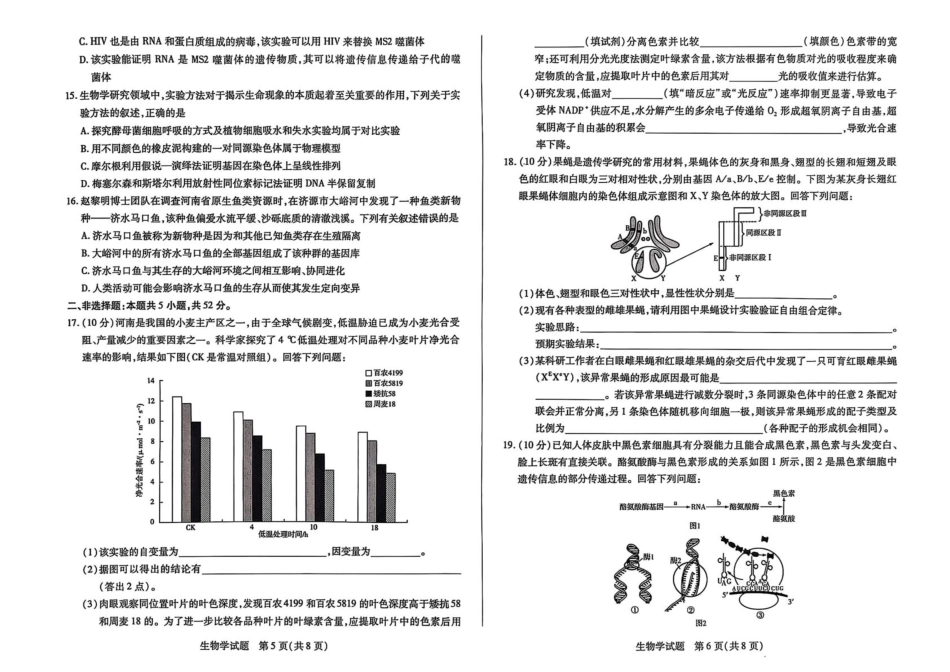河南省濮阳市2024-2025学年高一下学期7月期末考试生物含答案.pdf_第3页