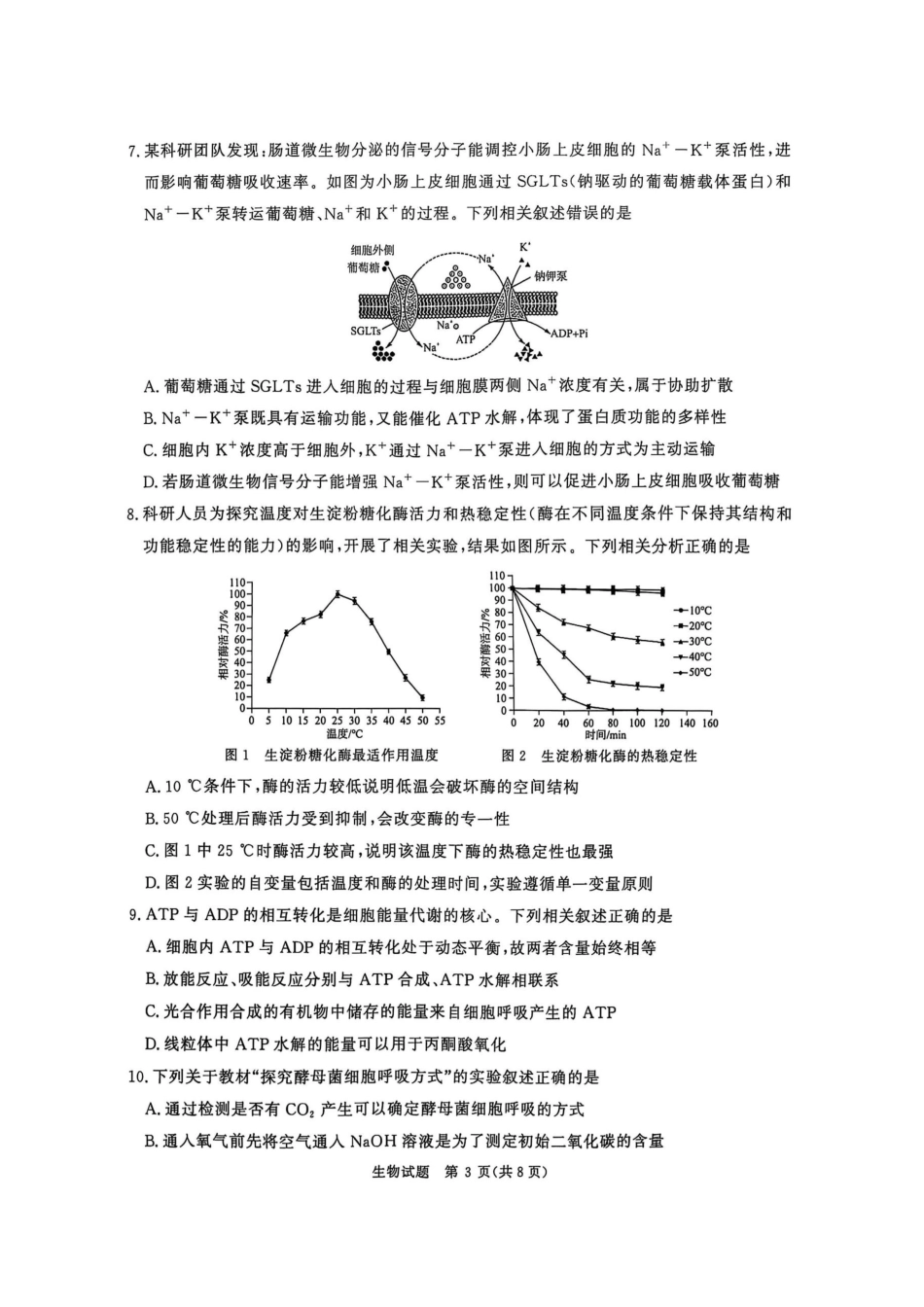 河南省青桐鸣大联考2025-2026学年高三上学期10月联考生物.docx_第3页