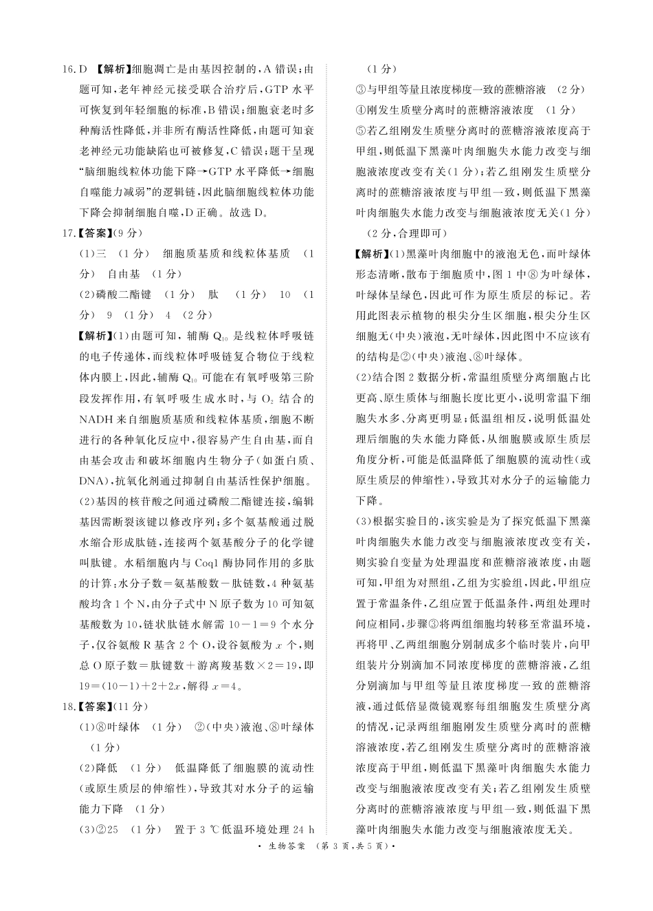 河南省青桐鸣大联考2025-2026学年高三上学期10月联考生物答案.pdf_第3页