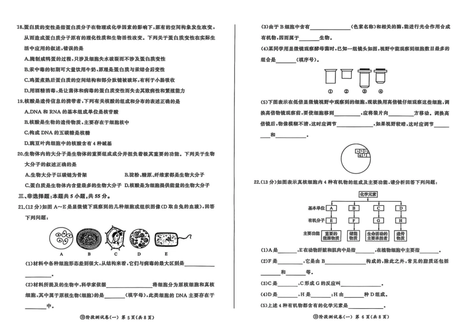 黑龙江省双鸭山市部分学校2025-2026学年高一上学期9月月考生物试题.pdf_第3页