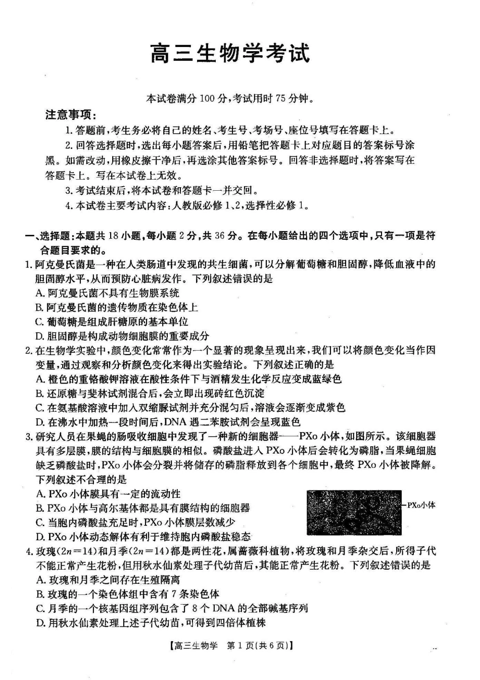 湖北省2024-2025学年高三金太阳12月联考(金太阳25-187C)(12.5-12.6)生物试卷.pdf_第1页