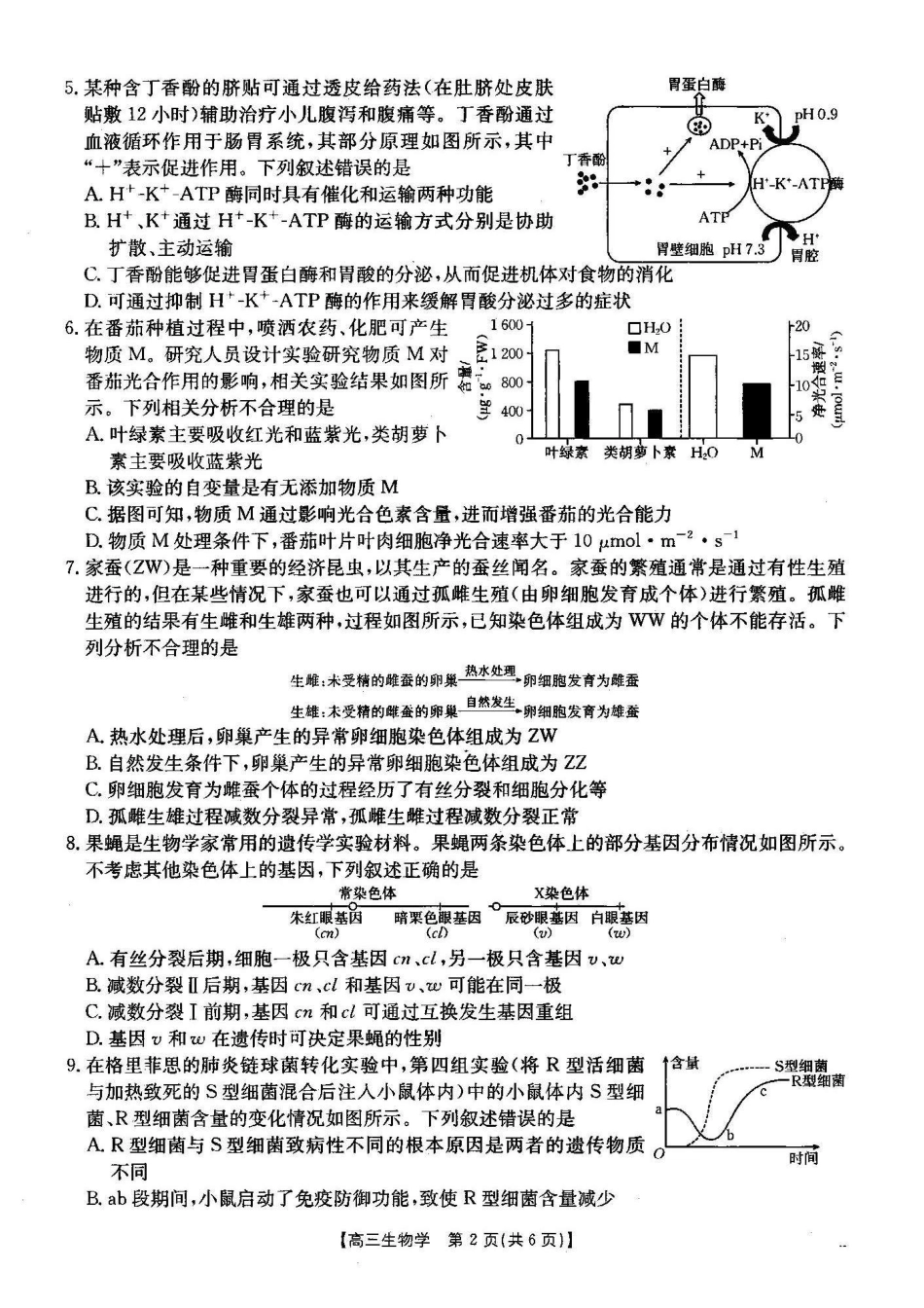 湖北省2024-2025学年高三金太阳12月联考(金太阳25-187C)(12.5-12.6)生物试卷.pdf_第2页