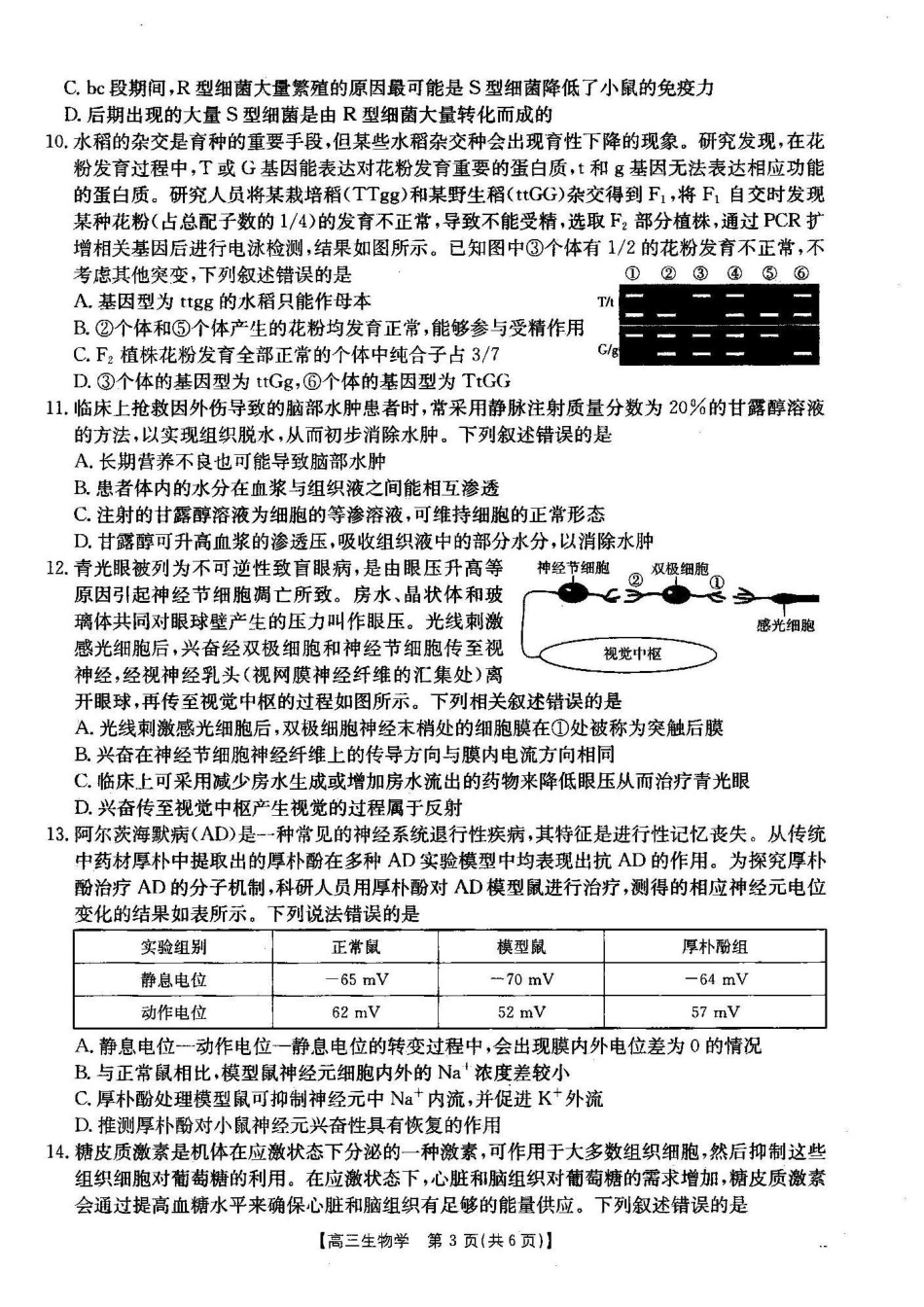 湖北省2024-2025学年高三金太阳12月联考(金太阳25-187C)(12.5-12.6)生物试卷.pdf_第3页