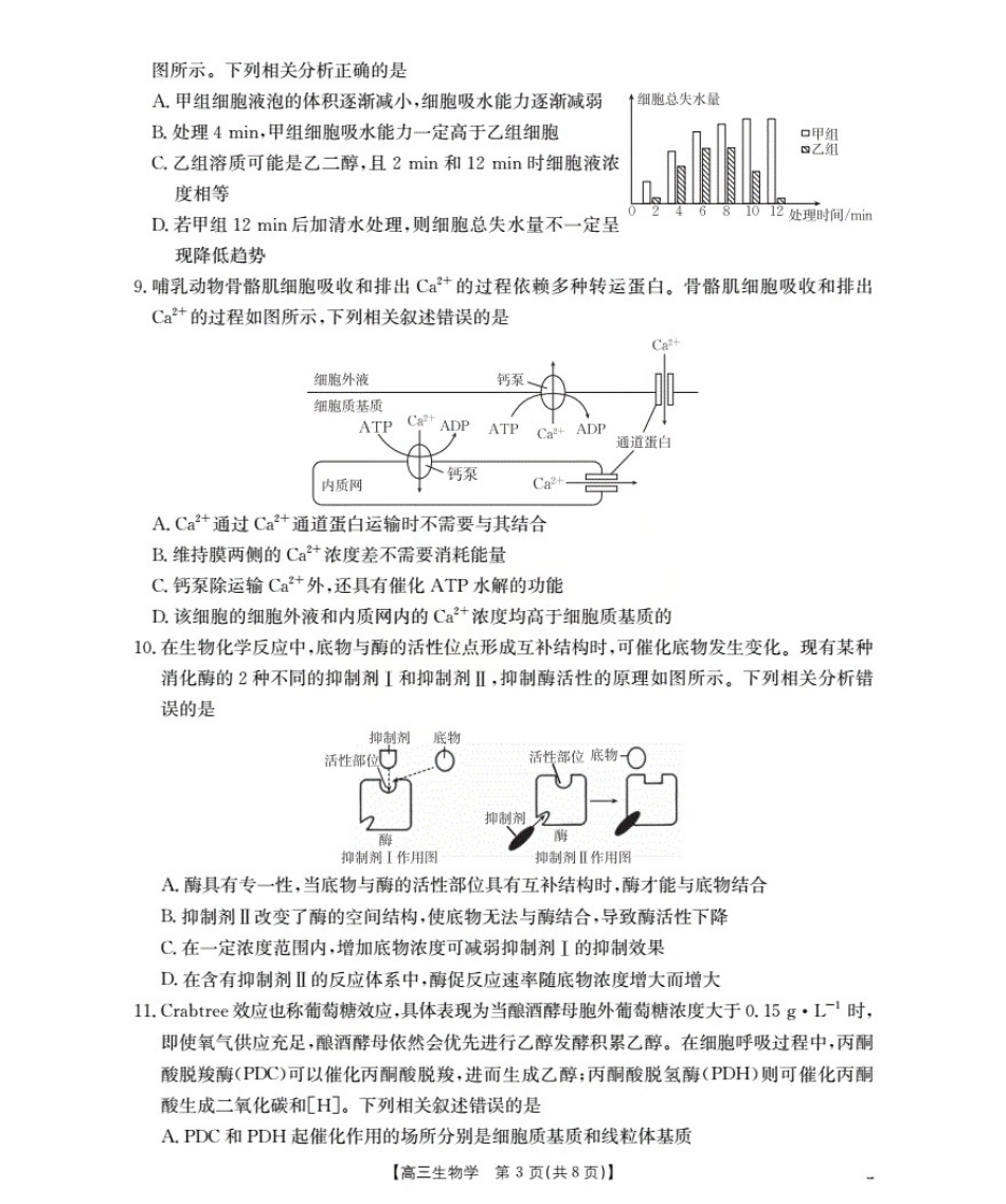 湖北省2026届高三上学期10月联考（26-23C）生物+答案.pdf_第3页