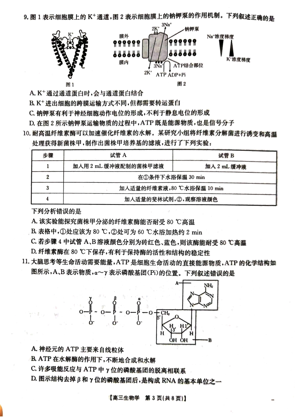 湖北省百校大联考2024-2025学年高三上学期10月考试生物学.pdf_第3页