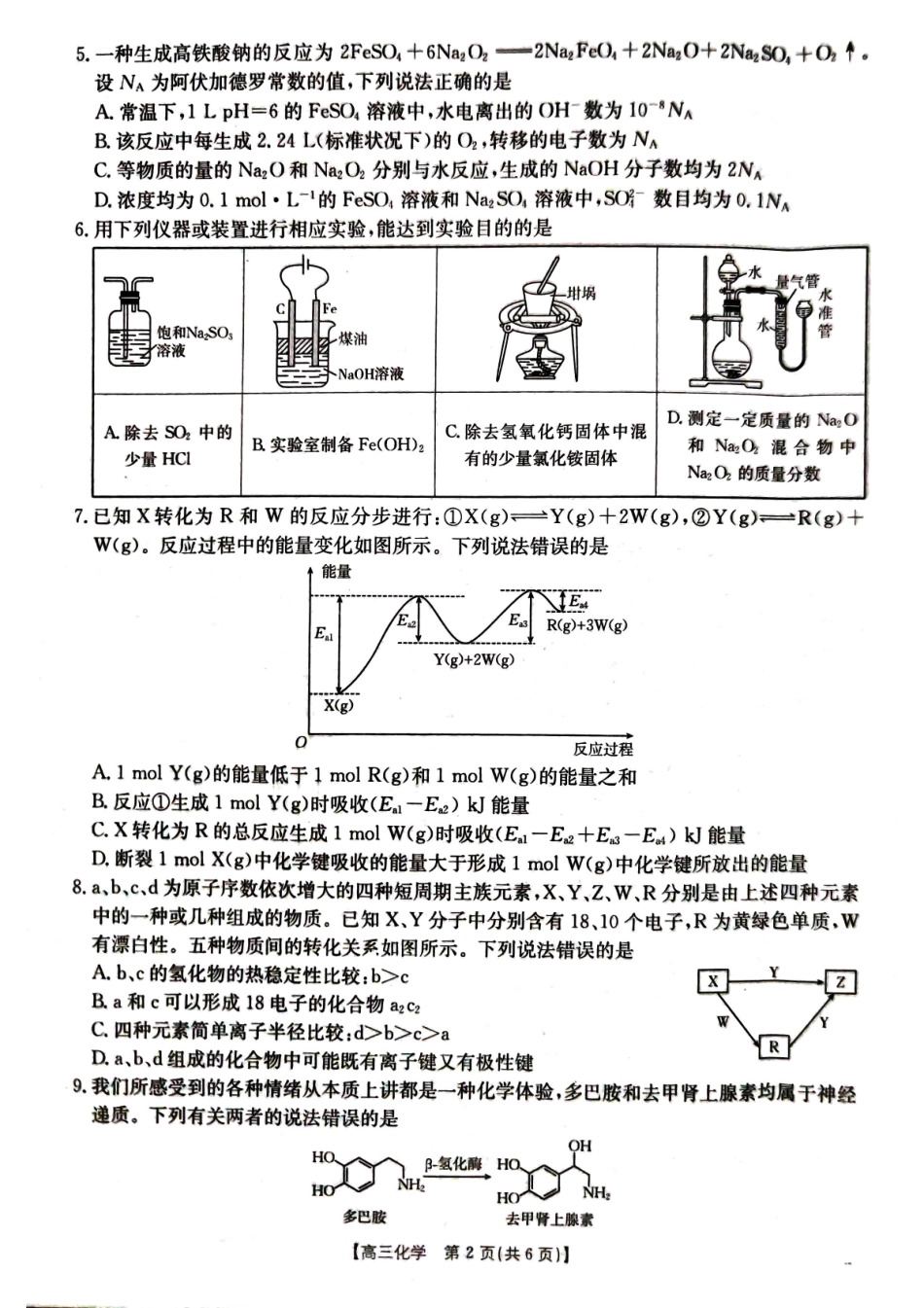湖北省部分学校（金太阳百校大联考）2024-2025学年高三年级10月联考（10.8-10.9）化学试卷.pdf_第2页