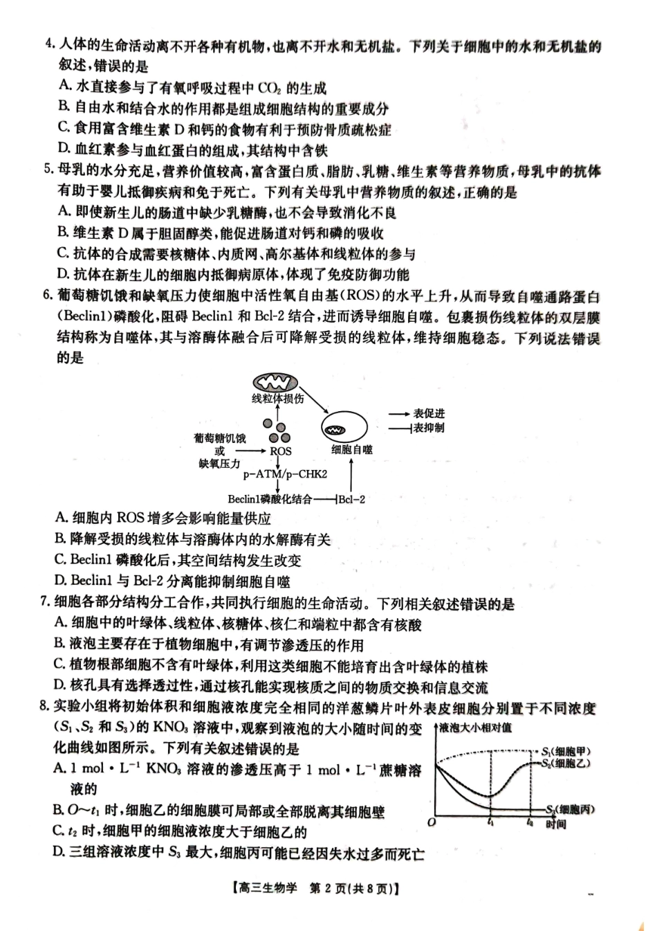 湖北省部分学校（金太阳百校大联考）2024-2025学年高三年级10月联考（10.8-10.9）生物试卷.pdf_第2页