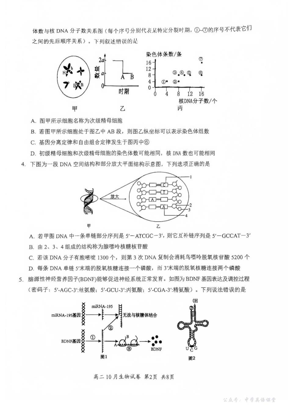 湖北省云学联盟2025-2026学年高二上学期10月月考生物试题含答案.pdf_第2页