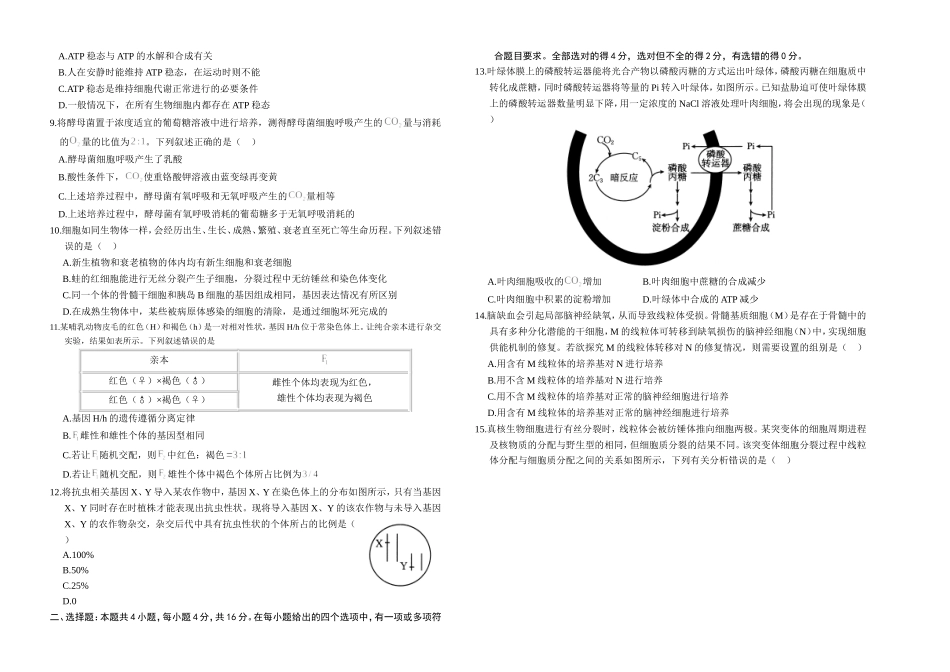 湖南省金太阳2024-2025学年高三上学期10月阶段检测联合考试(10.5-10.6)生物试卷+答案.doc_第2页