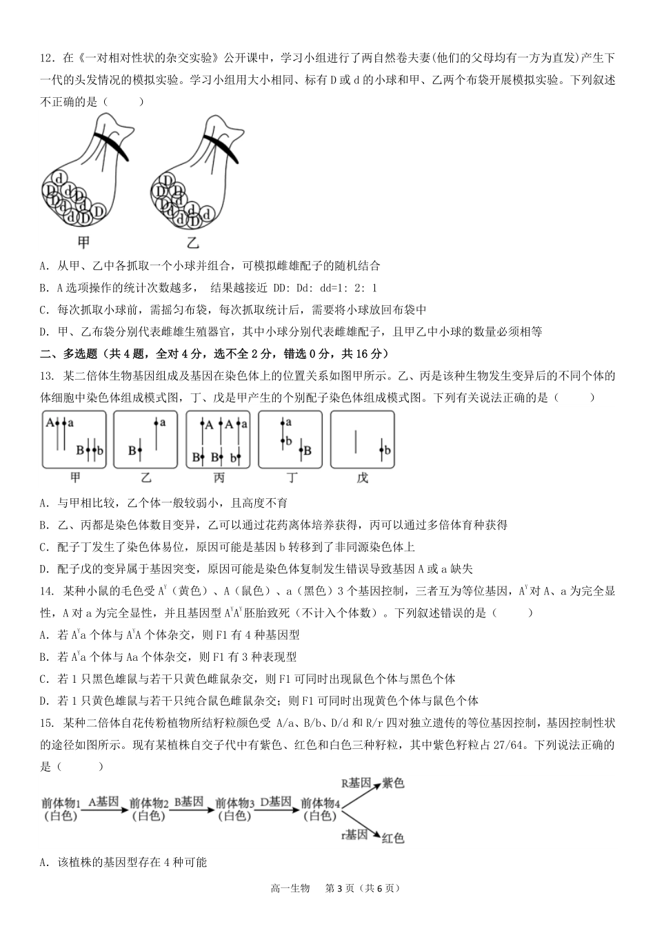 湖南省娄底市部分普通高中2024-2025学年高一下学期期末考试生物含答案（可编辑）.pdf_第3页