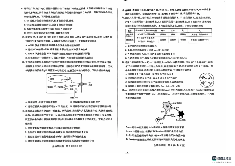 湖南省天一大联考&湘一名校联盟2024-2025学年高三上学期11月联考(11.28-11.29)生物试卷.pdf_第2页