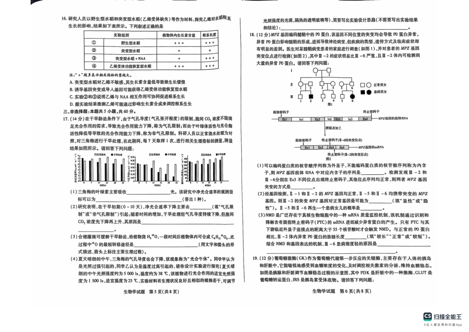 湖南省天一大联考&湘一名校联盟2024-2025学年高三上学期11月联考(11.28-11.29)生物试卷.pdf_第3页