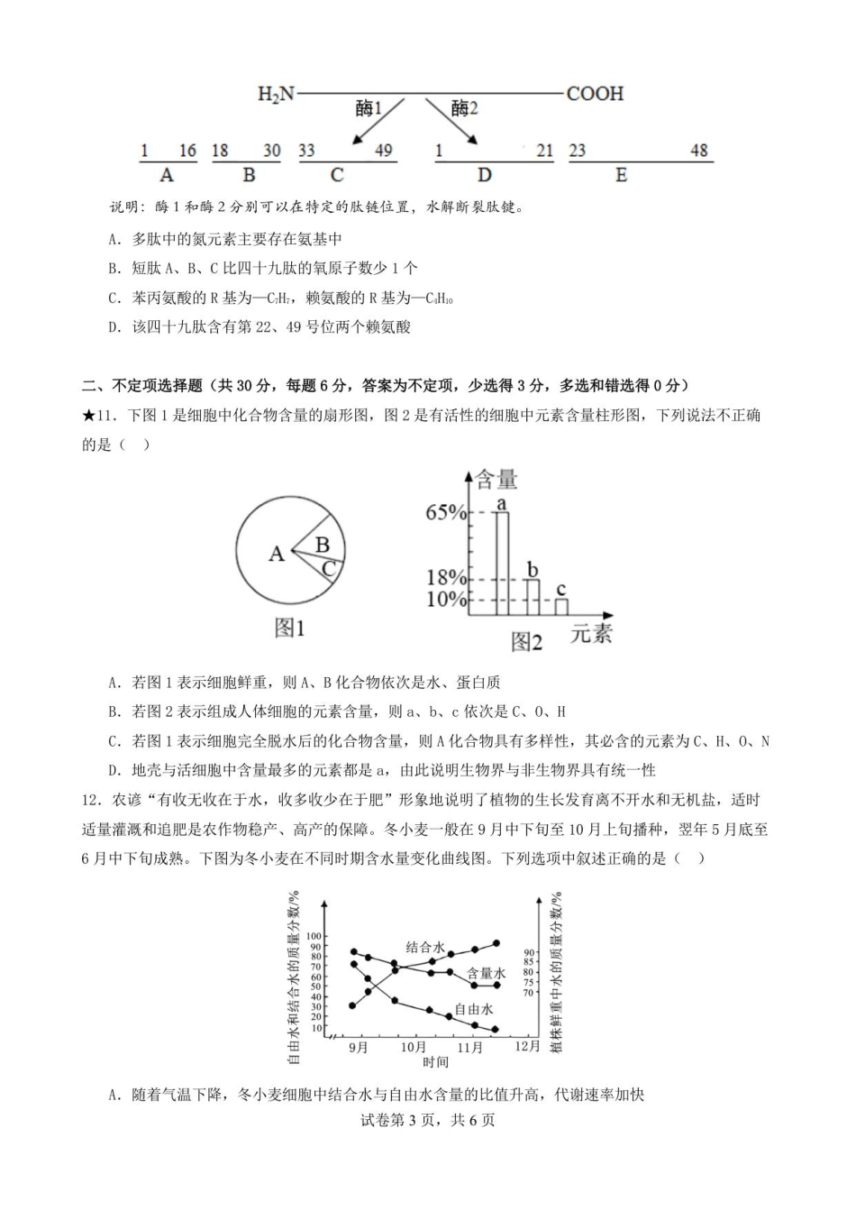 湖南省岳阳县第一中学2025-2026学年高一上学期第一次月考生物试题.pdf_第3页