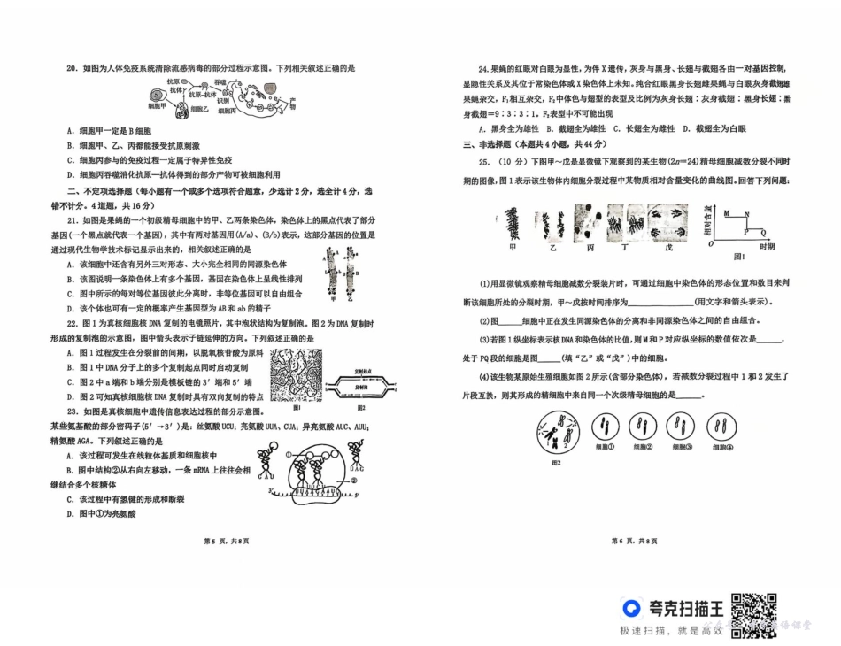湖南省长沙市雅礼中学2025-2026学年高二上学期第一次（10月）质量检测生物.pdf_第3页