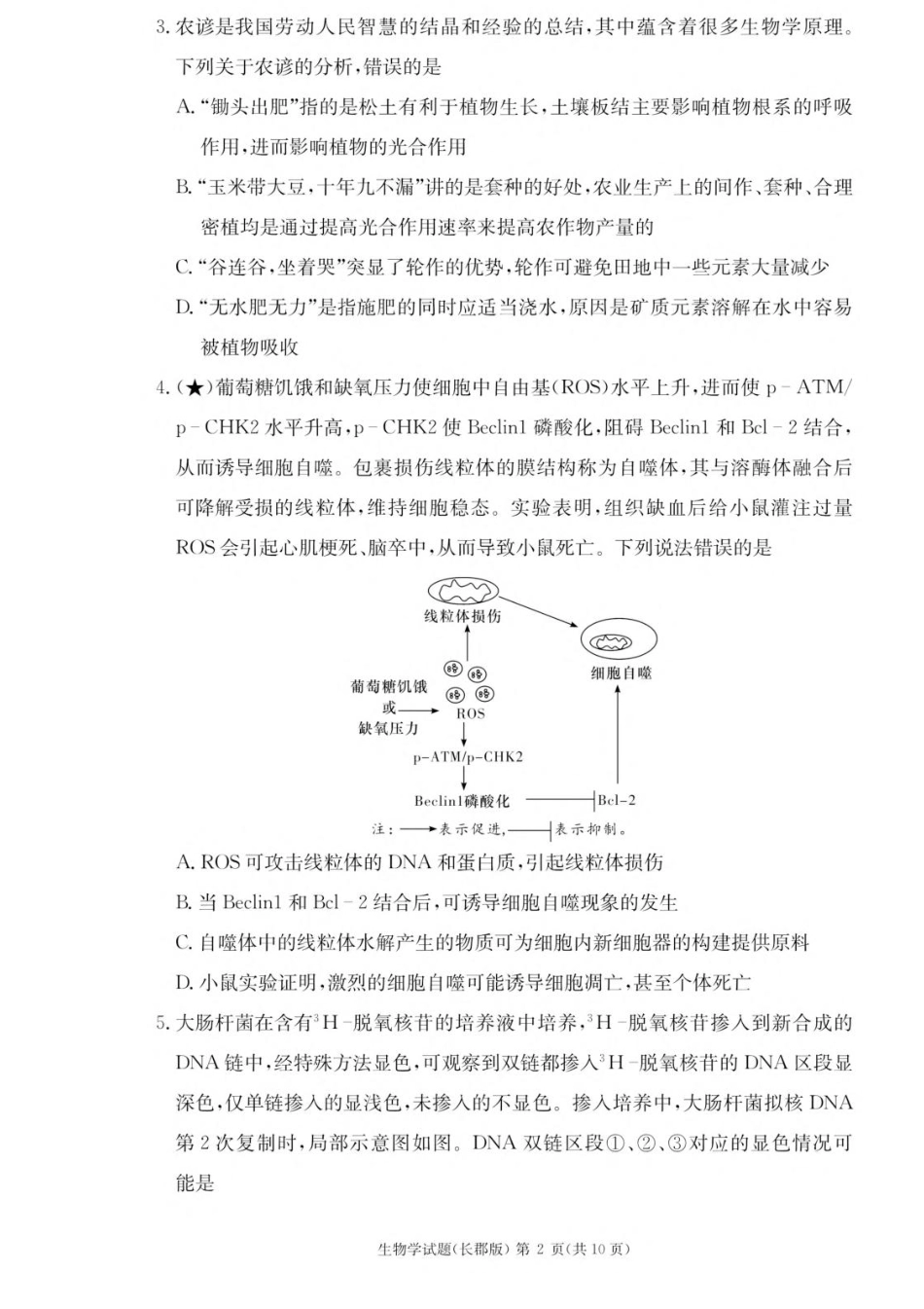湖南省长沙市长郡中学2025-2026学年高二上学期入学考试生物试题.pdf_第2页