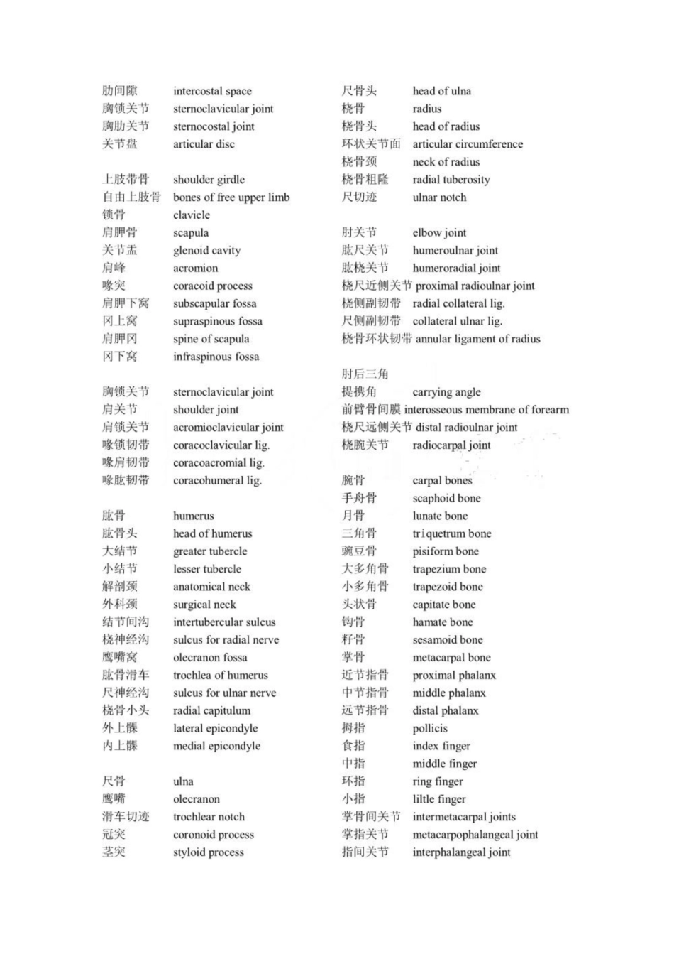 《骨科》英语词汇.pdf_第2页