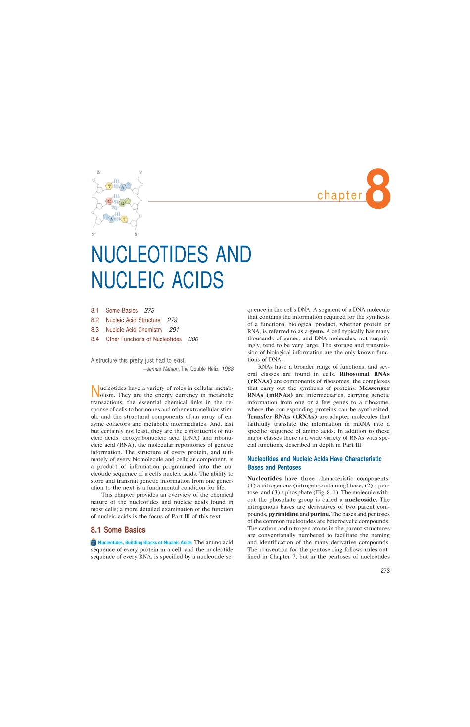 chap08 NUCLEOTIDES AND.pdf_第1页