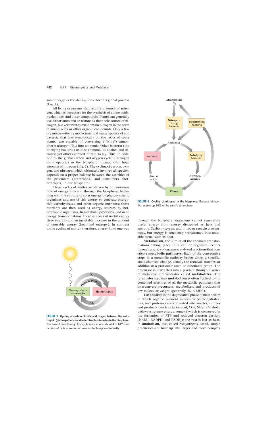 chap13+++++BIOENERGETICS+AND+METABOLISM.pdf_第2页