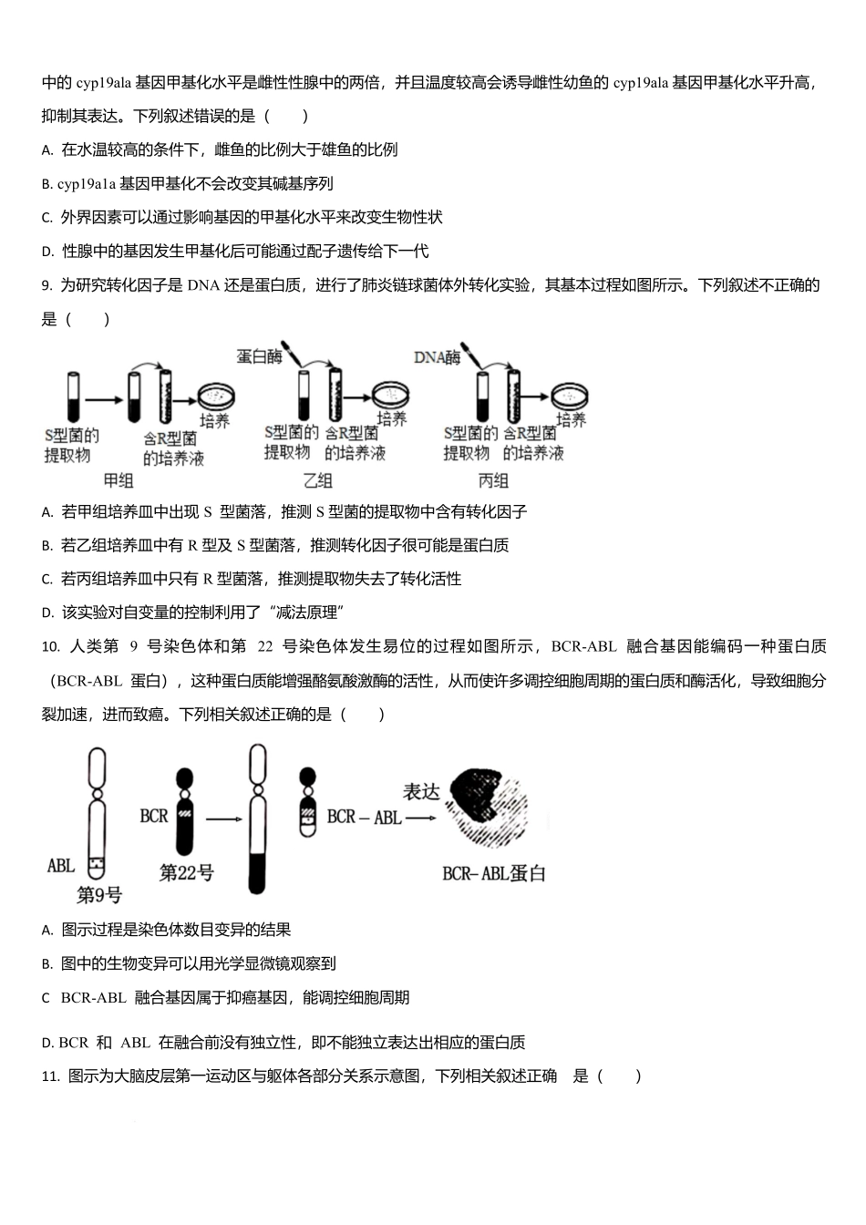 吉林省通化市梅河口市第五中学2025-2026学年高二上学期10月月考试题生物含答案.docx_第3页