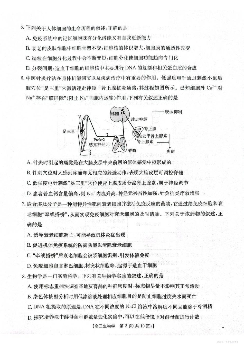 江苏省2026届高三10月联考(26-67C)生物.pdf_第2页