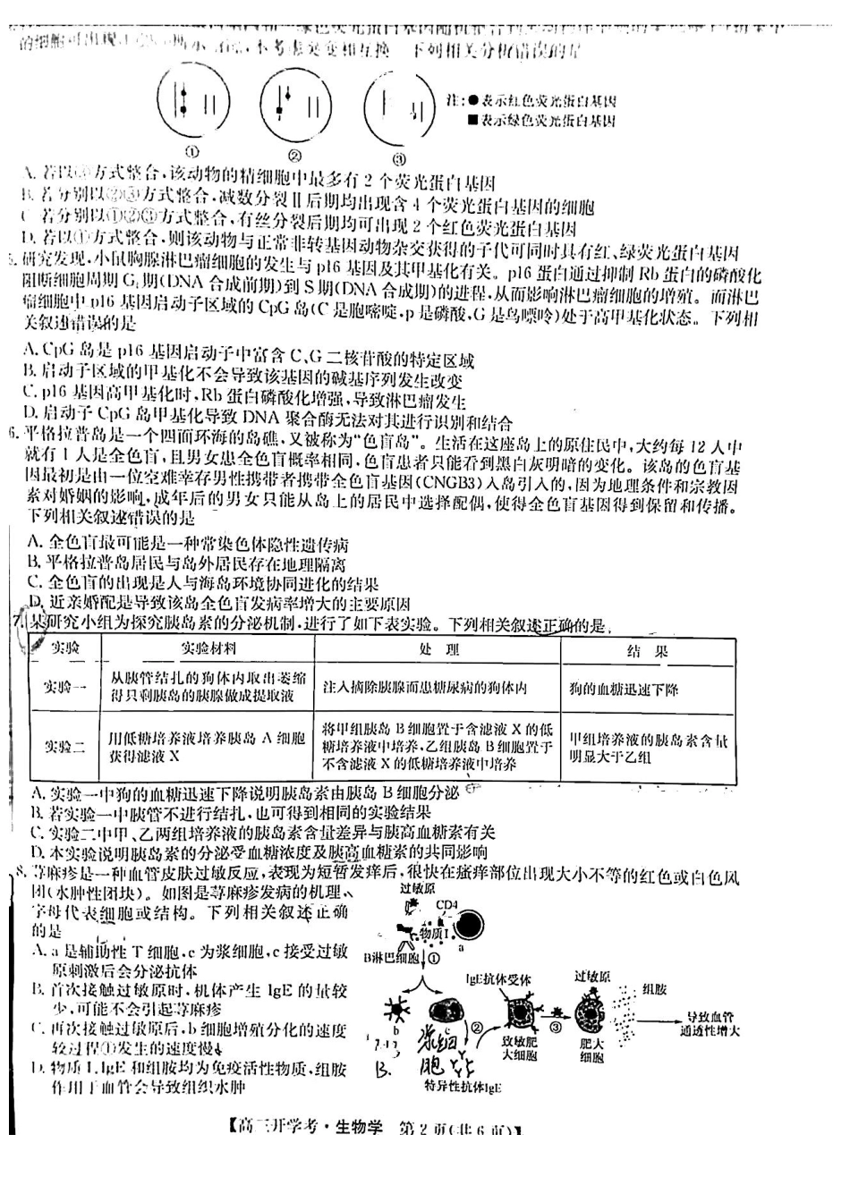 江西省九师联盟2025届高三8月开学联考暨河南省开封市开封五县考2024-2025学年高三上学期开学联考生物试卷+答案.pdf_第2页