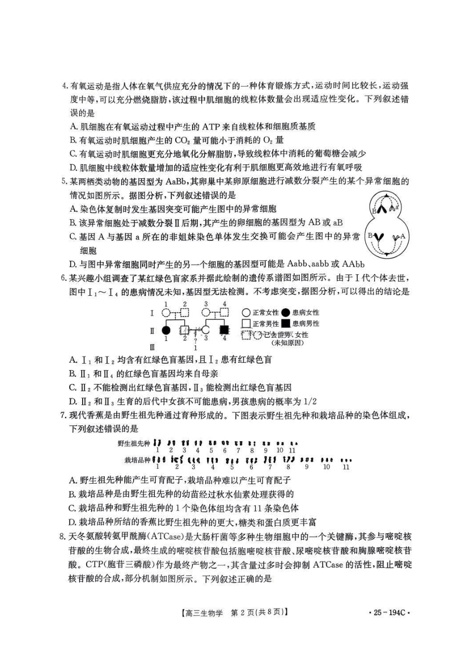 金太阳25-194C2024-2025学年高三上学期12月阶段性考试(12.24-12.25)生物试卷.pdf_第2页