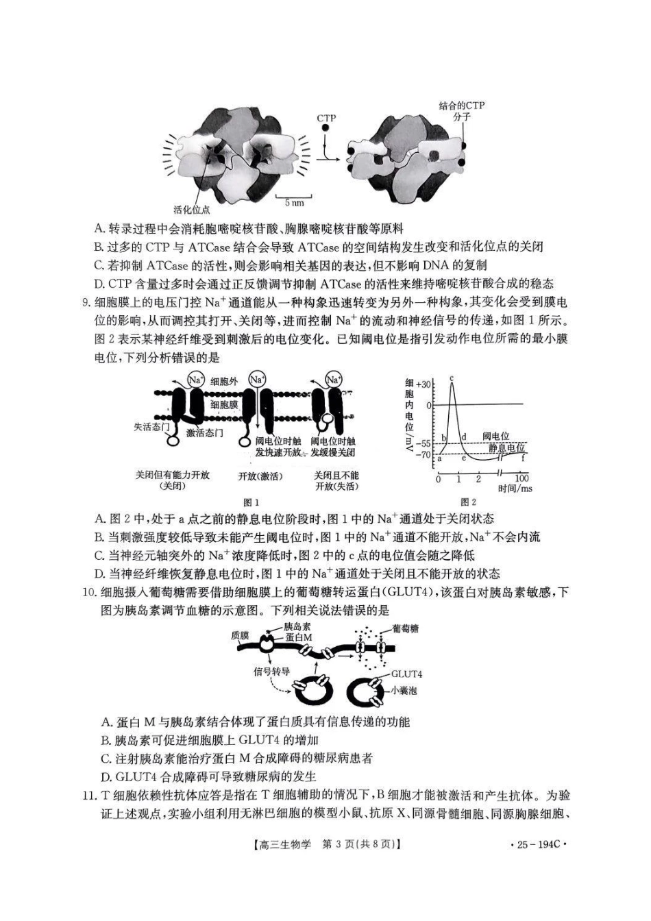 金太阳25-194C2024-2025学年高三上学期12月阶段性考试(12.24-12.25)生物试卷.pdf_第3页