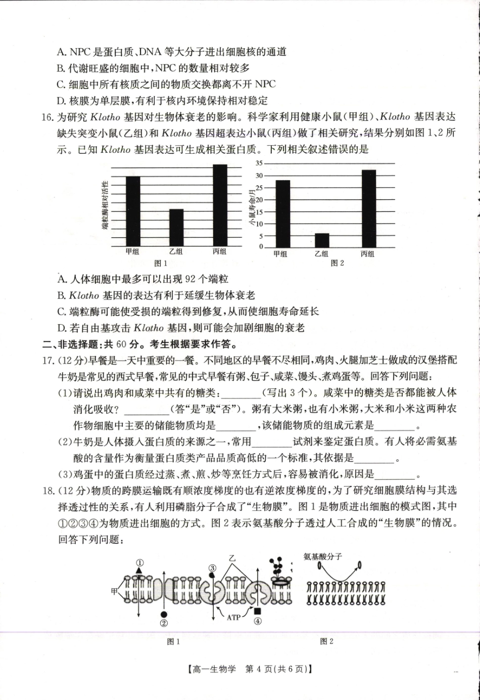 金太阳25-281A2024-2025学年高一上学期1月期末考试生物学试卷.pdf_第3页