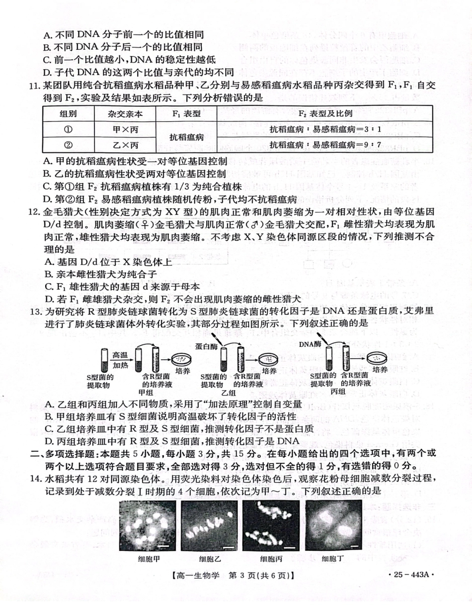 金太阳25-443A2024-2025学年高一下学期期中考试生物试卷（含解析）.pdf_第3页