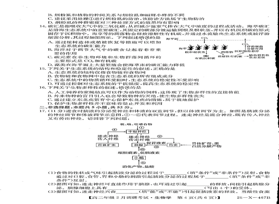 金太阳25-X-467B2024-2025学年高二下学期2月调研考试生物试卷.pdf_第3页