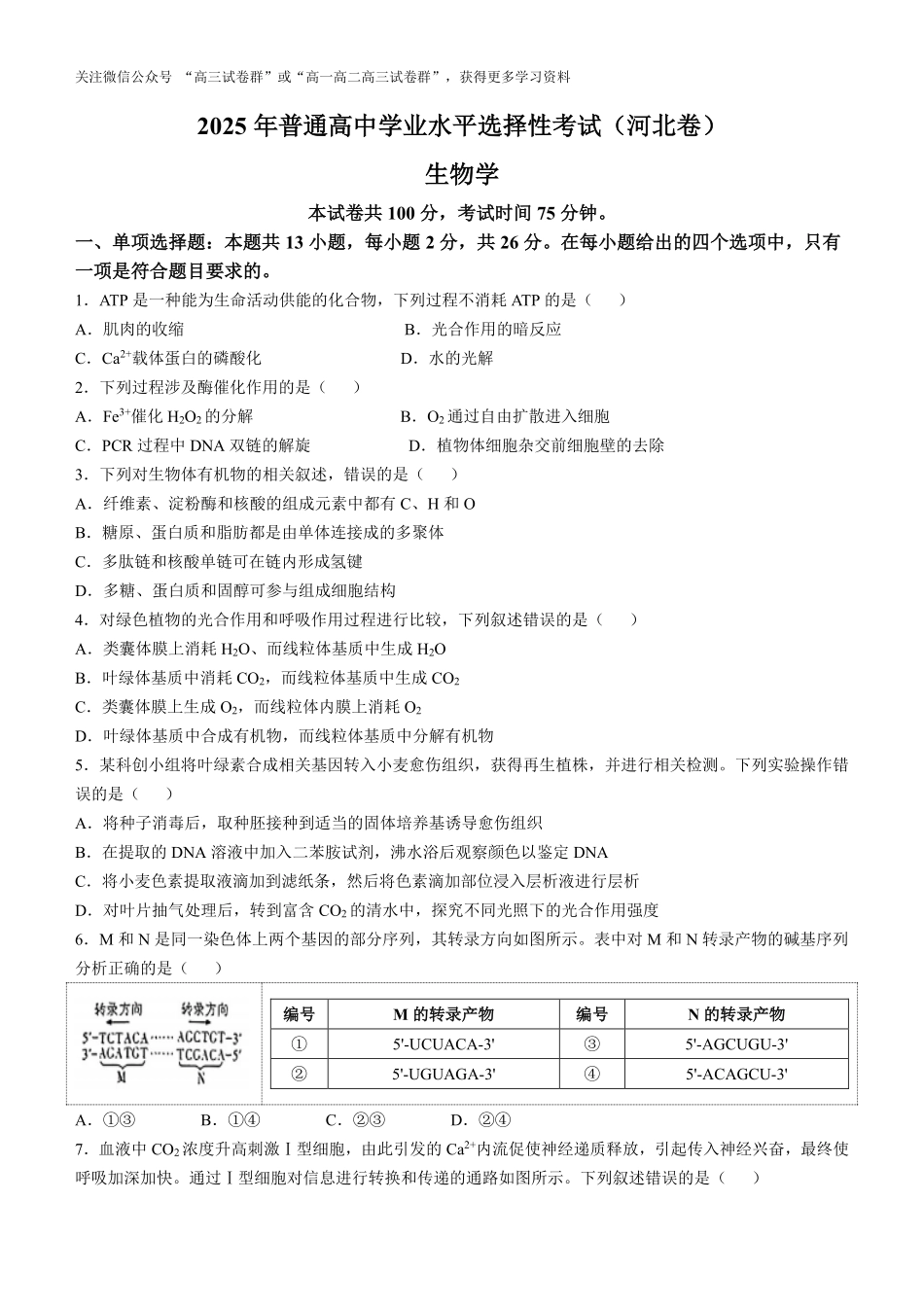 精品解析:2025年高考河北生物真题(原卷版).pdf_第1页