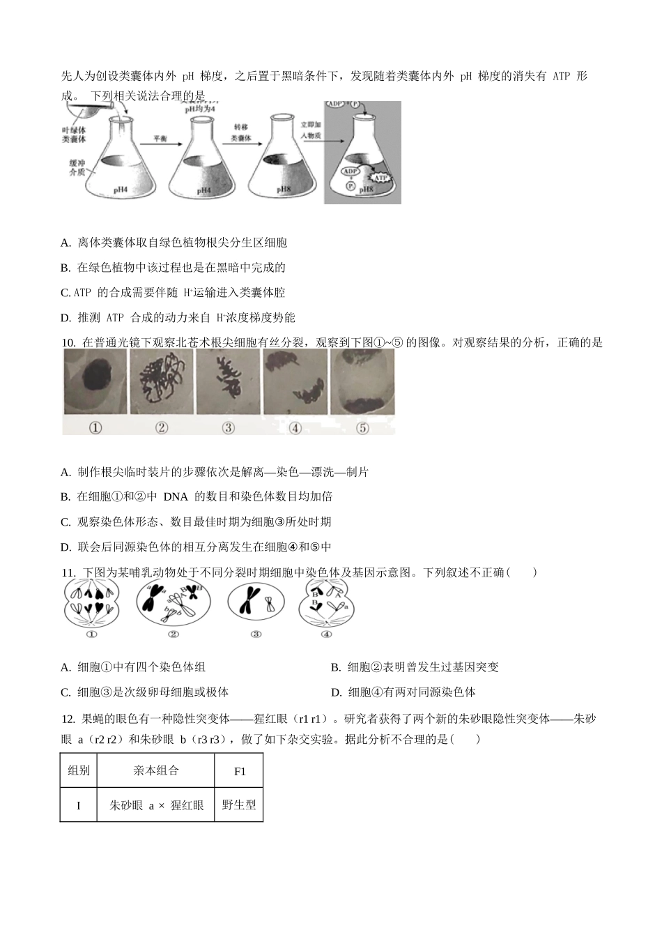 精品解析：生物试卷（原卷版）【北京卷】北京市西城区育才学校2025-2026学年高三上学期9月月考(9.26-9.27).docx_第3页